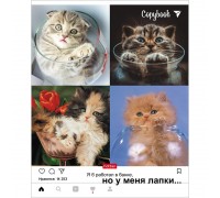 Тетрадь А5 48л Клетка Hatber Но у меня лапки 48Т5В1