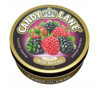 Монпансье Candy Lane Лесные ягоды (200 гр) ж/б