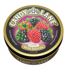 Монпансье Candy Lane Лесные ягоды (200 гр) ж/б