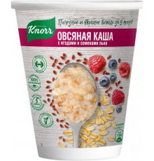 Каша овсяная с ягодами и семенами льна Knorr (45 гр)