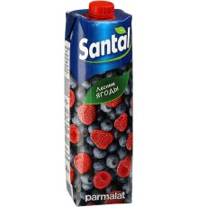 Напиток сокосодержащий Santal Лесные ягоды (1 л)