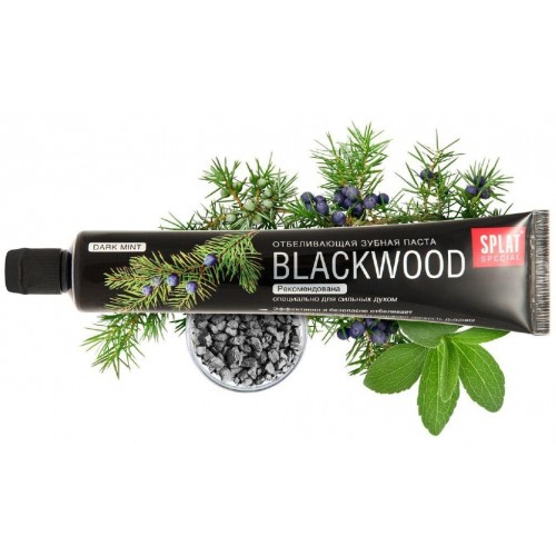 Зубная паста Splat Special Blackwood (75 мл)