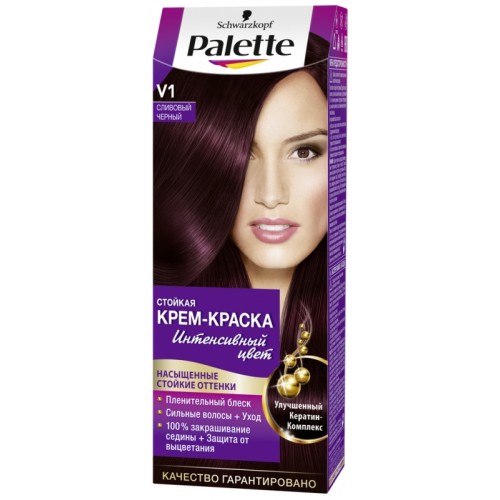 Краска для волос Palette V1 Сливовый чёрный